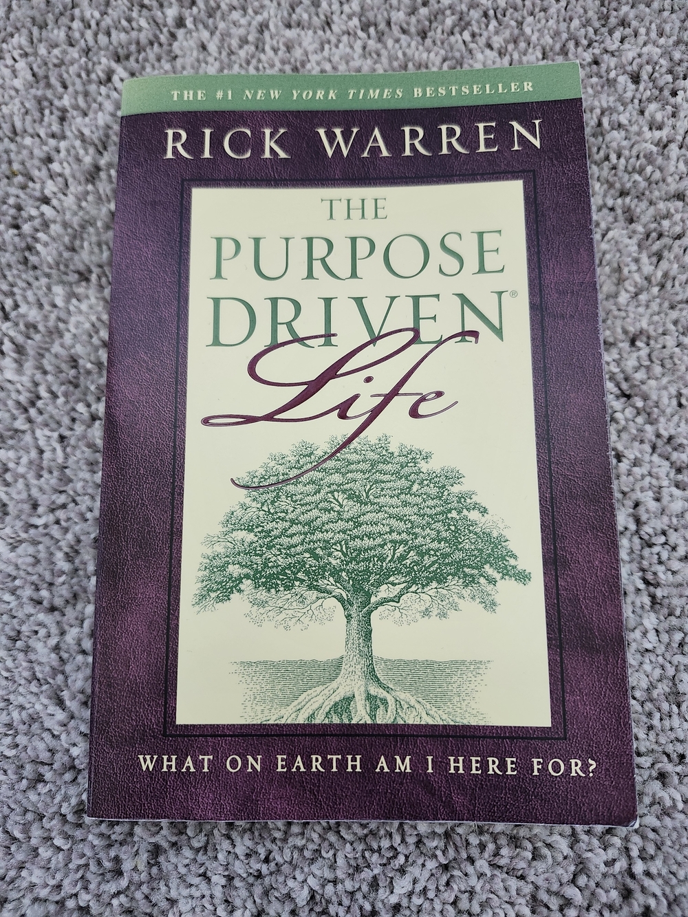 Rick Warren Christian Book Theology The Purpose Driven Life 90s Green and Purple